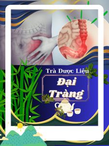Trà Đại Tràng giảm đau bụng  Cải Thiện đi ngoài sôi bụng đầy hơi  40 Túi Lọc Tra dong y viet