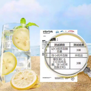 WENXIANGZAN | Ready to Eat No Sugar Dry Lemon Slices