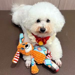 Self Entertaining Dog Toy Sound Making Chew Proof Teeth Grinding Pet Supplies for Teddy Bichon Corgi Shiba Inu Puppies