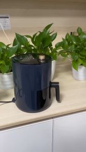 Mesin Penggoreng Sehat Tanpa Minyak: Air Fryer Low Watt 800W & 5L Airfryer Hemat Listrik