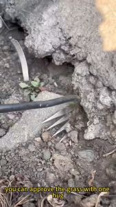 Panduan Membeli Alat Taman Ringan & Pencabut Rumput Efektif