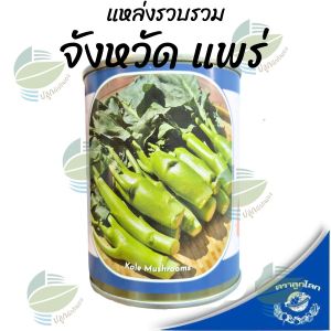 คะน้าเห็ดหอม คะน้าหวาน คะน้าฮ่องกง ตราลูกโลก (Mushroom Kale)