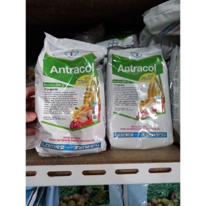FUNGISIDA ANTRACOL 70WP + ZINK 250GRAM ORIGINAL