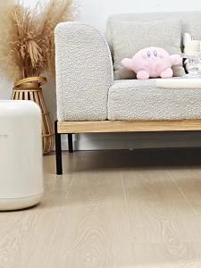 MOLORE | Hands-Free Large Capacity Dual Bin Wide Mouth Trash Can