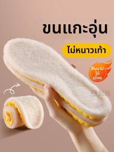 Wool Winter Warmth Insoles