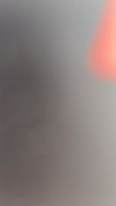 Pelet KURA KURA Sakkai TOTROISE 100 gram untuk semua Jenis kura-kura