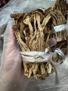 Dried Mushroom /Dried Agrocybe Aegerila 100gram | 精选干·茶树菇100克 煲汤,爆炒,焖煮