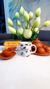 Trà Túi Lọc - Cà phê Đông Trùng Hạ Thảo Nature Cordyceps