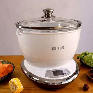 European Camewin Automatic Glass Electric Stewpot Stewing out of Water Soup Pot Casserole for Making Soup Health Cooker Slow Cooker Scheduled Appointment