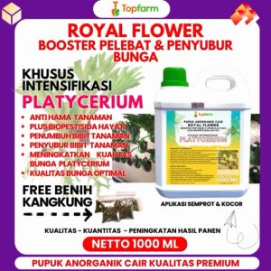 Pupuk Topfarm / Pupuk Khusus Platycerium / Pupuk Platycerium Hili Papuanum / Pupuk Platycerium Wandae Papua / Pupuk Untuk Daun Tanaman Hias / Pupuk Tanaman Hias Platycerium / Pupuk Hias Hidup