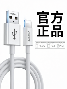 PISEN | PD20W Fast Charging Cable Adapter