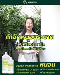 เวิร์ม เอสวี ขนาด 100ml สารสกัดกำจัดหนอนออร์แกนิค เห็นผลไวภายใน24ชม. กำจัดหนอนใยผัก หนอนกระทู้ผัก หนอนแก้ว หนอนคืบกระหล่ำ