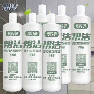 Strong Stain Removal Toilet Cleaner