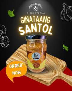 Ginataang Santol Expiry 2026