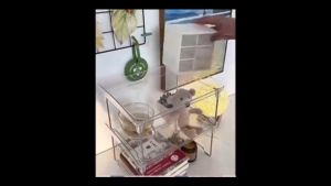 Acrylic Transparent Minimalist Desk Stackable Storage Rack Cosmetics Storage Table Organizer Toiletries Perfume Organizer Storage Desk