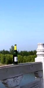 Thickened Alloy Steel Super Hard Baseball Bat Outdoor Sports BAT (Free Baseball Bat Backpack)