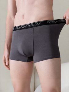 Modal Mens Briefs Antibacterial Breathable Comfort Letter Print