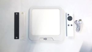 Smart Ceiling Light with Remote and Wall Switch 6000mAh Battery Backup 3 Lighting Modes Motion Sensor Dimmable Lamp for Bedroom