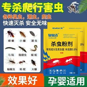 Insect Roach Killer Powder Cockroach Bait Ant Flea Pest Killer 【5g 10pcs/ set 】蟑螂药室内卧室厨房杀虫蚂蚁药家用杀蟑饵剂蟑螂杀虫粉剂