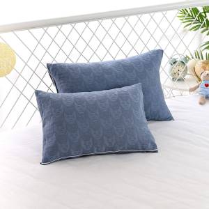 Kids All-Seasons Cartoon Pillowcase Single