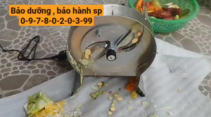 Máy thái lát gừng nghệ cà rốt khoai tây thành lát mỏng