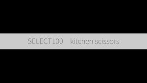 [Hàng Nhật Nội Địa] Kéo Nhà Bếp Cao Cấp KAI SELECT100 DH3005