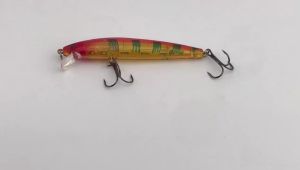 Long Tail Minnow Fishing Lure 10cm 9g Floating Hard Bait Artificial Wobbler Crankbait 3D Eye 10 Color Carp Perch Fishing Tackles