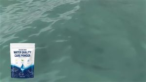 Aqua-Guardian Pro Formulas Powder Algae Remover Restore Water Quality Water Clarifying Powder Home Pond Water Purification 100g