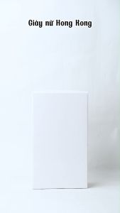 Giày bít nữ (35-39)