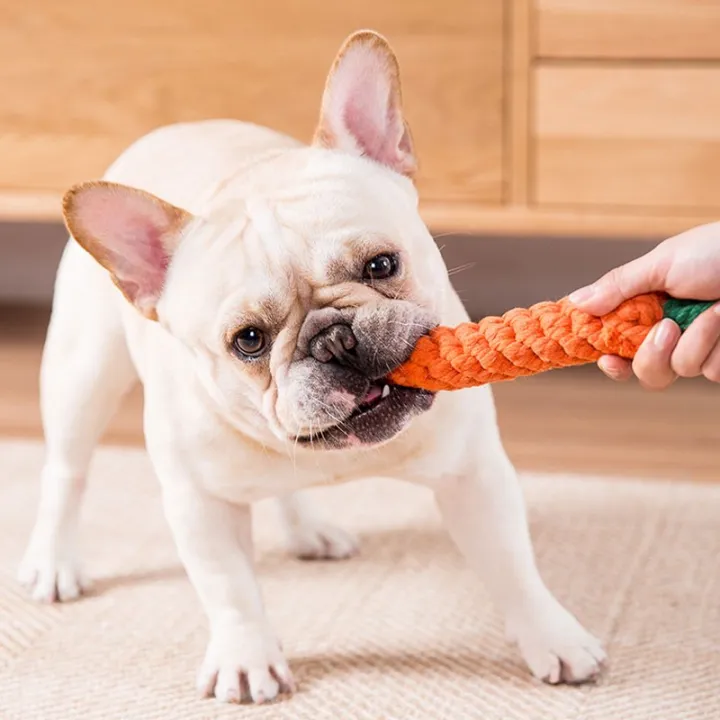 hipidog%20%7C%20Chew%20Resistant%20Dog%20Toy%20For%20Teething%20Puppies%20-%20Image%202