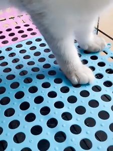 ชุดหมอน ชูฟัง หมอนหมั่งใจ สกัดแผ่นจิ๊กซอว์ปูกรง สกัดแผ่นรองกรงสัตว์เลี้ยง สกัดแผ่นปูพื้น นิ่ม สกัดแผ่นรองกรง ปูพื้นกันลื่น กรงกระต่าย สกัดแผ่นกันลื่นในห้องน้ำ 30x30ซม