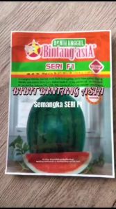 Benih Bibit SEMANGKA SERI F1 20 GRAM Bintang Asia