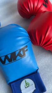 [HCM]{Găng Karate Ailaikit}  Găng thi đấu Môn Võ Karate Găng tốt