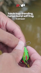 EXP BAZZY Soft Rubber Frog 33MM 5G