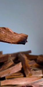 Kayu Gaharu Aquilaria Malaccensis Asli 10 Gram