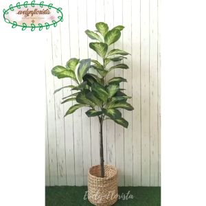Pohon Hias Daun Bahagia Hijau X3 T140 Latex Artificial Pot Dasar Cover Eceng Gondok Dekorasi Rumah