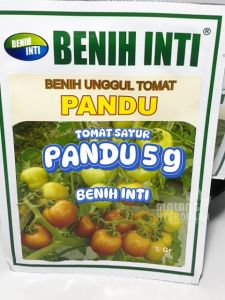 Benih Tomat Sayur Pandu 5 gram Inti dataran tinggi sedang rendah buah bibit servo hidroponik hydroponik