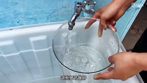 100 Gói Dưỡng Hoa Dưỡng Hoa Tươi Lâu Không Hôi Nước