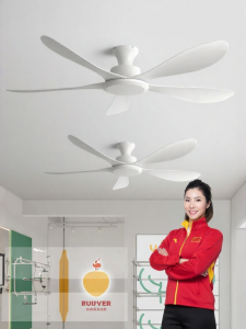 HUANGJIANG | Silent Variable Speed Commercial and Home Ceiling Fan