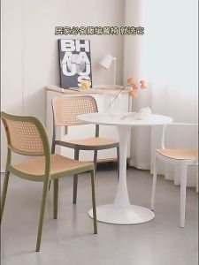 Various Nordic Rattan Like PP Backrest Chair For Adults Modern Minimalist Home Outdoor Comfortable Chair(KELLY) Furniture