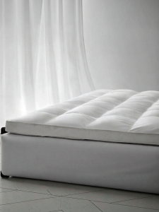 Mercury | Five-Star Hotel Goose Feather Double Layered Warm Mattress Pad