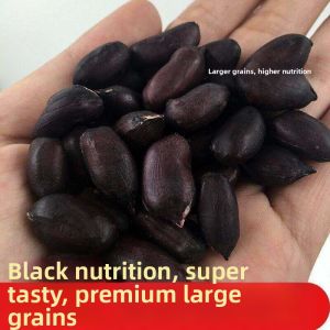 Selenium-rich Black Peanuts 5 斤
