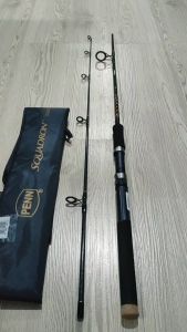 PENN SQUADRON SPINNING FISHING ROD
