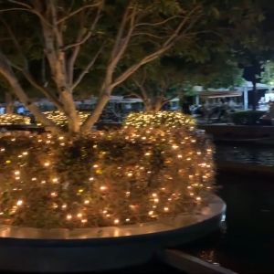 100 LED 10M (Extendable) Twinkle Starry Fairy String Waterproof Decoration Lamp  Festive Lighting Decor Lights Outdoor