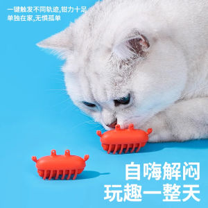 Electric Toy Cat Wand Interactive Toys for Kittens Adult Cats Playtime Essential No Batteries Needed Zeze Brand