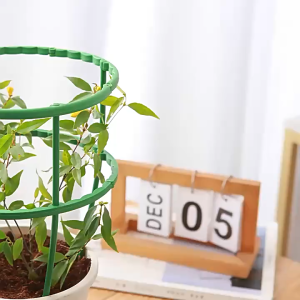 12Pcs/Set Cage Plie Semi-Circle Green House Orchard Rod Plant Support Ring Climbing Stake Bonsai Fixing Rod