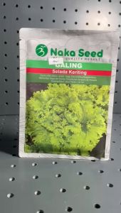 BENIH SELADA KERITING GALING NAKA SEED 10 GRAM