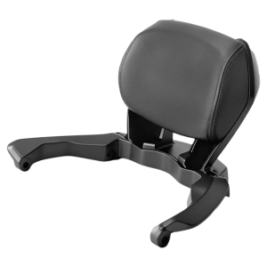 BIG EXPL OSION | Honda NSS350 ADV350 Compatible Aluminum Backrest