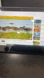 NEC TAB Versapro VS-4  | Core M3 7Y30 1GHz | Ram 4 | SSD 128