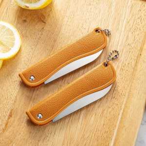 Stainless Steel Fruit Knife Household Barbecue Plastic Handle Folding Knife Multifunctional Portable Peeler Knife out for Dormitory